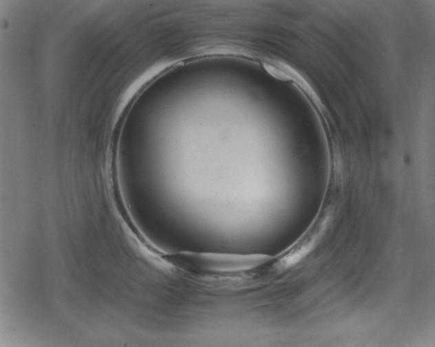 X0000078861149200611131156