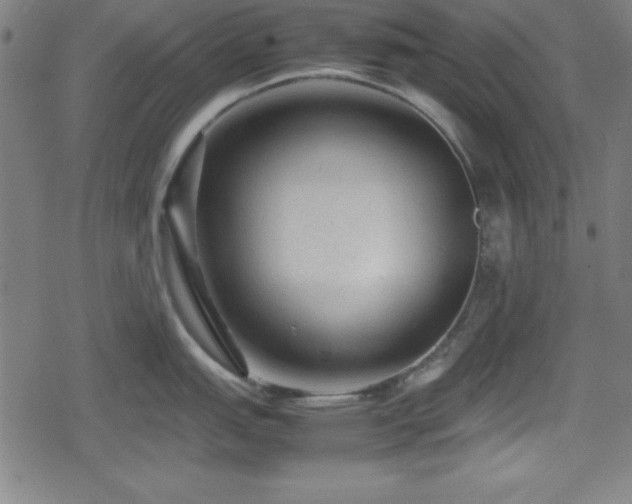 X0000078861151200611131156