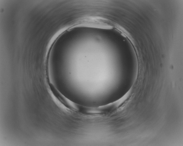 X0000078861152200611131156