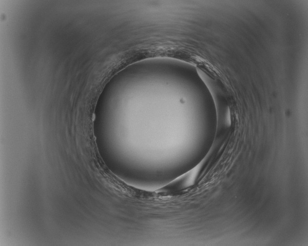 X0000078861153200611131156