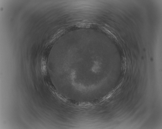 X0000078861154200611131156