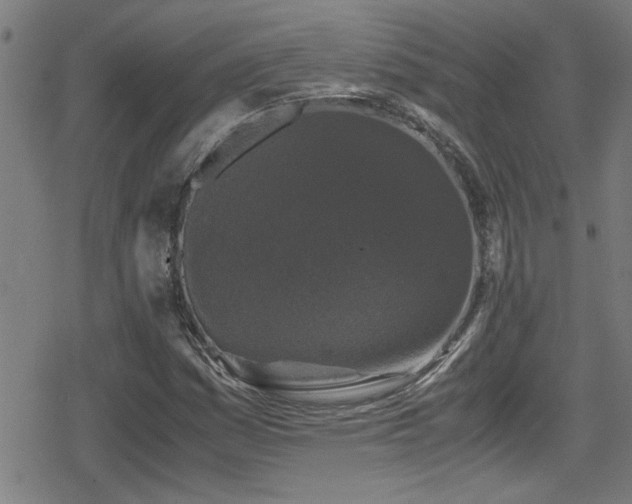 X0000078861161200611131156