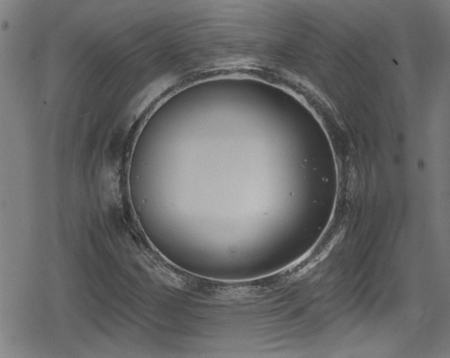 X0000078861162200611131156