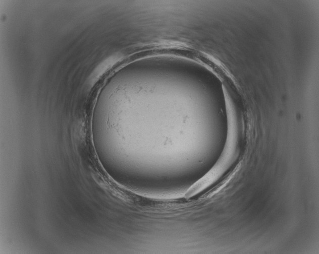 X0000078861163200611131156