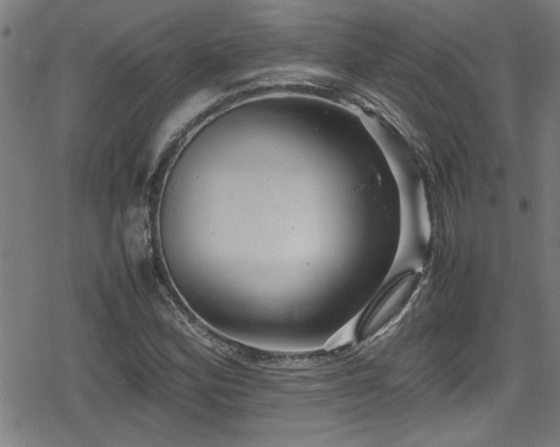 X0000078861164200611131155