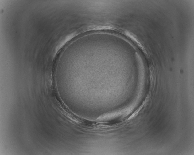 X0000078861165200611131155