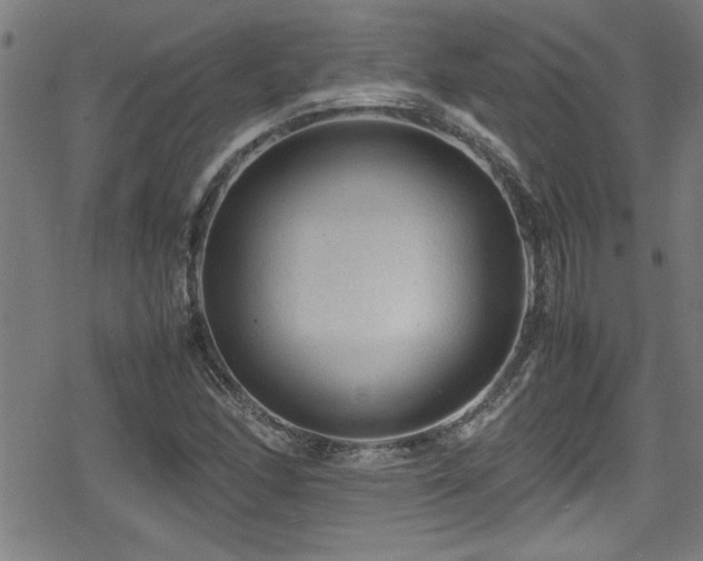 X0000078861166200611131155