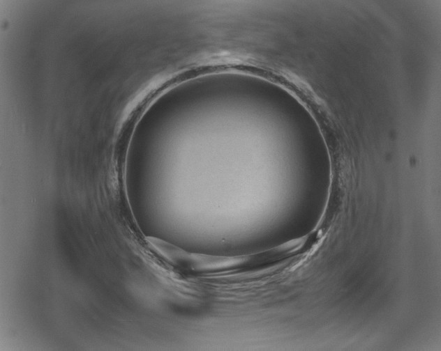 X0000078861167200611131155