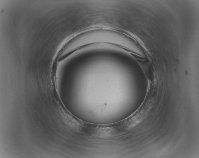 X0000078861168200611131155