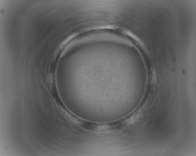 X0000078861169200611131155