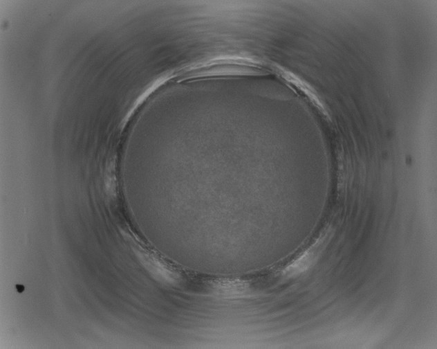 X0000078861170200611131155