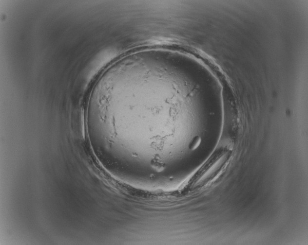 X0000078861171200611131155