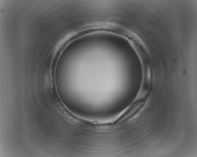 X0000078861172200611131155