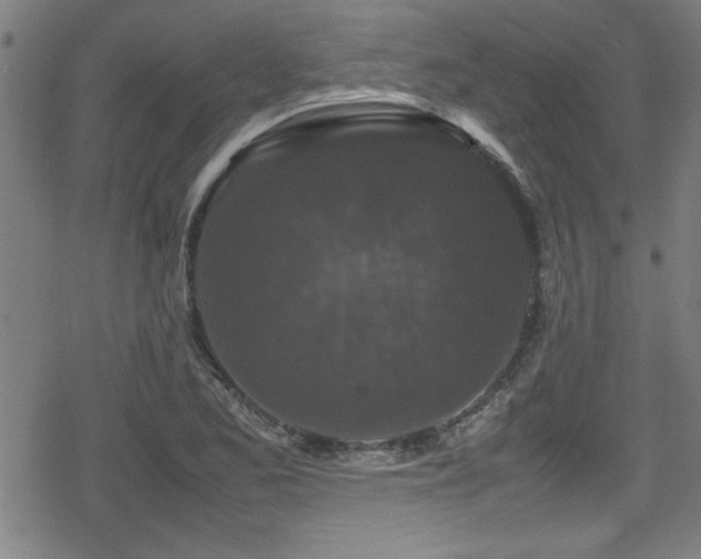 X0000078861173200611131155