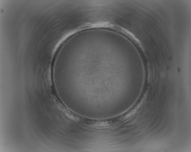 X0000078861174200611131155