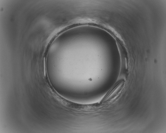 X0000078861175200611131155