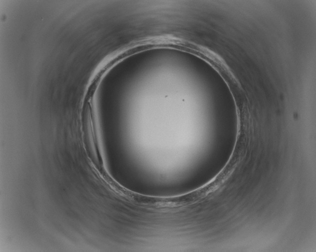 X0000078861176200611131155