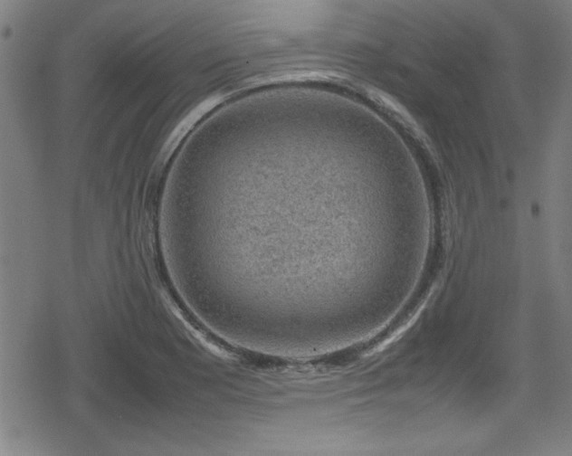 X0000078861177200611131155