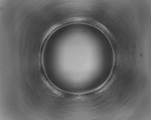 X0000078861178200611131155