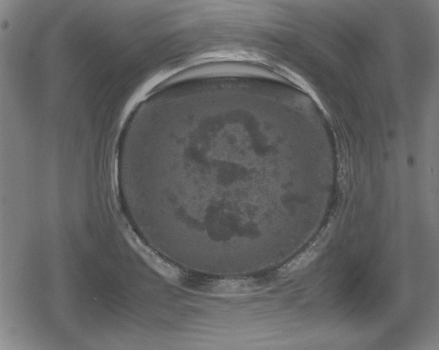 X0000078861179200611131155