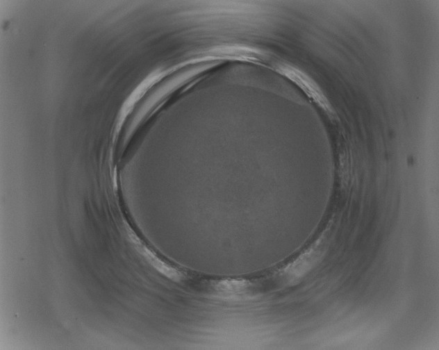 X0000078861180200611131155