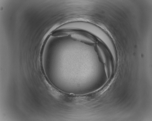 X0000078861181200611131155