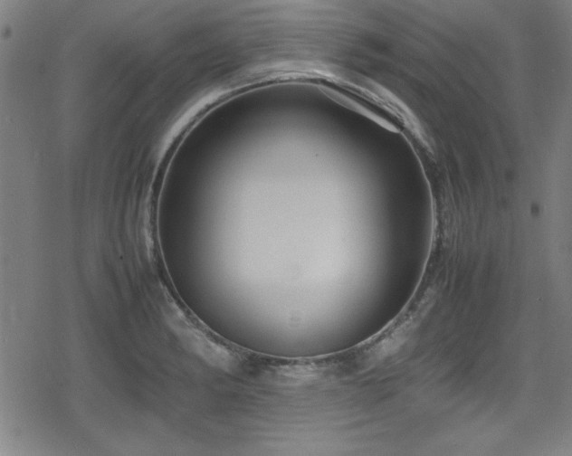 X0000078861182200611131155