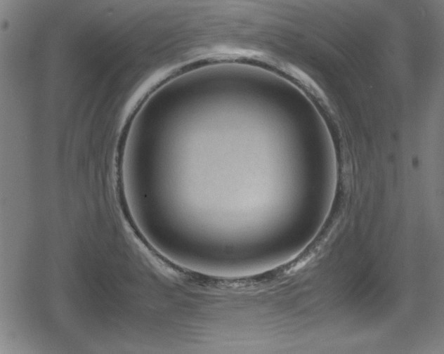 X0000078861183200611131155