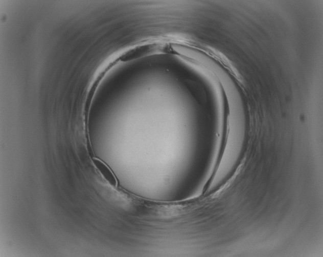 X0000078861184200611131155