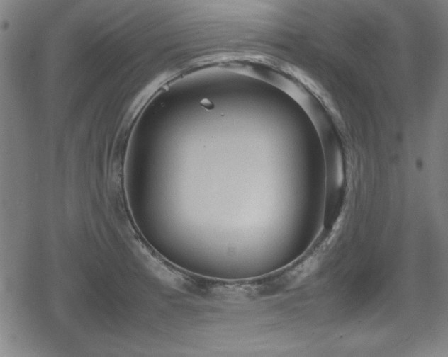 X0000078861185200611131155