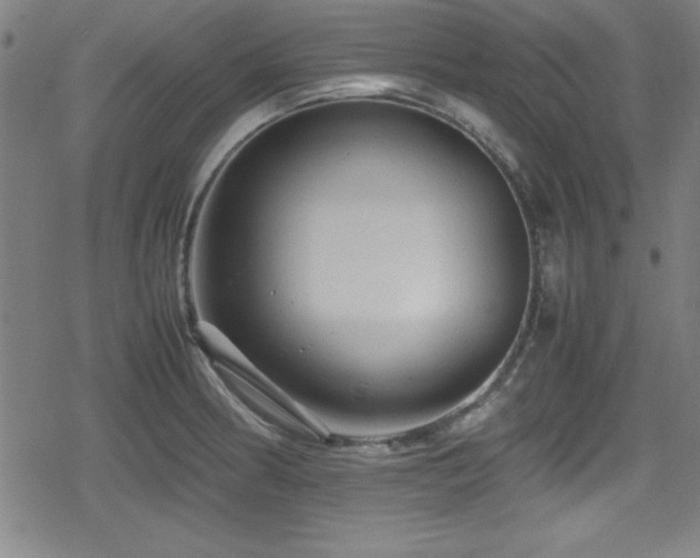 X0000078861186200611131155