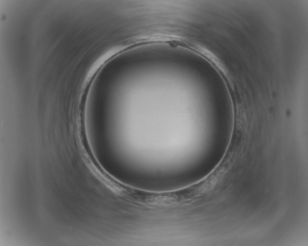 X0000078861187200611131155