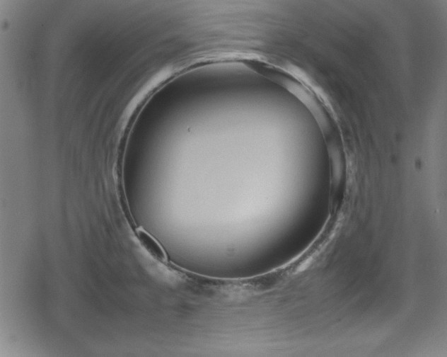 X0000078861189200611131155