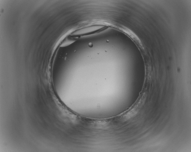 X0000078861190200611131155