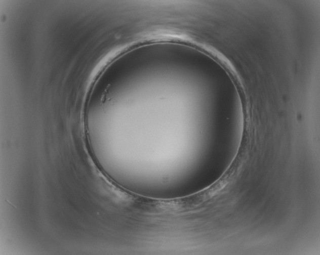 X0000078861191200611131155