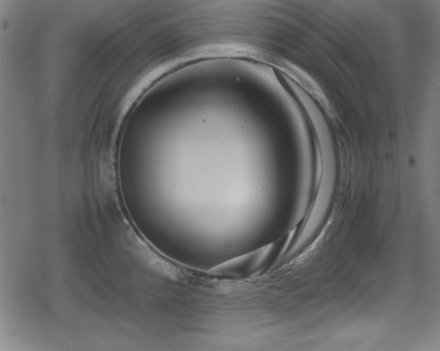 X0000078861192200611131155