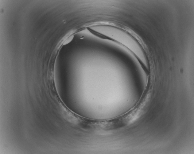 X0000078861193200611131155