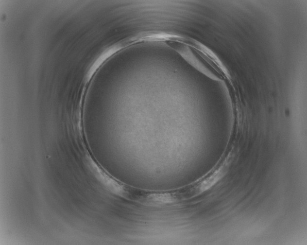 X0000078861194200611131155