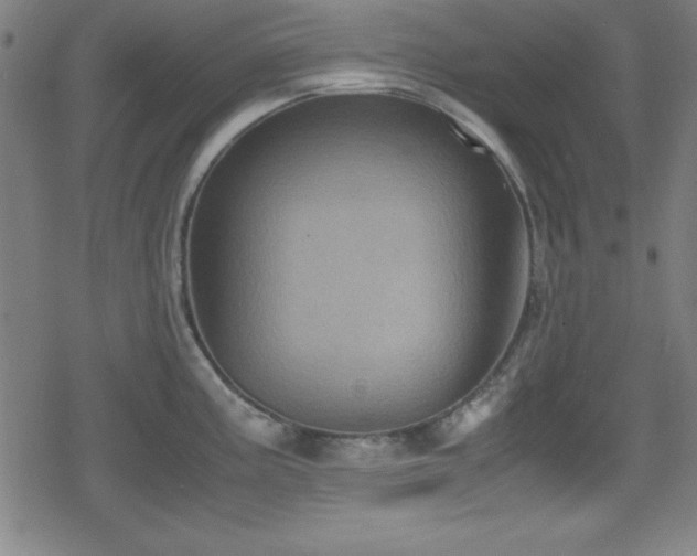 X0000078861195200611131155