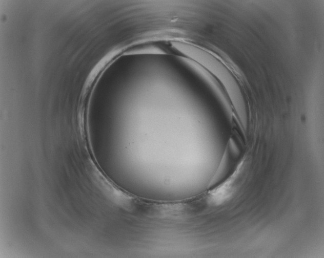 X0000078861196200611131155