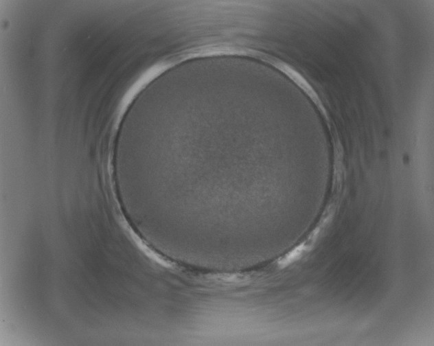 X0000078861197200611131155