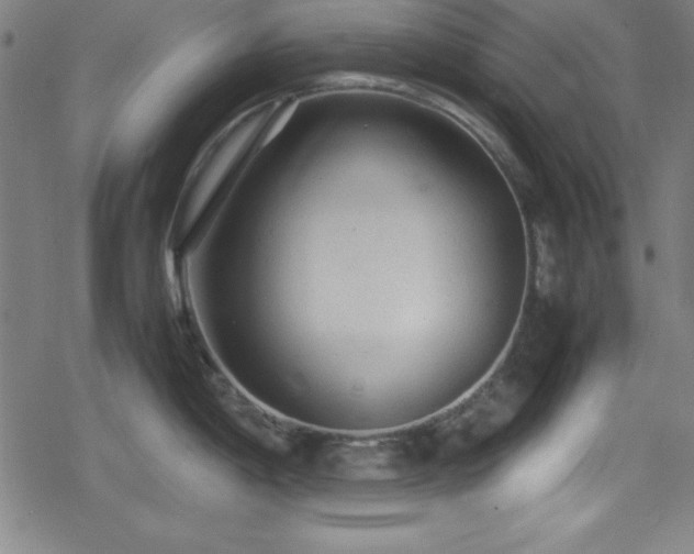 X0000078861198200611131155