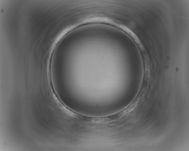 X0000078861199200611131155