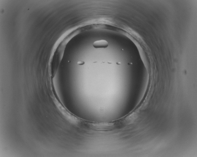 X0000078861200200611131155