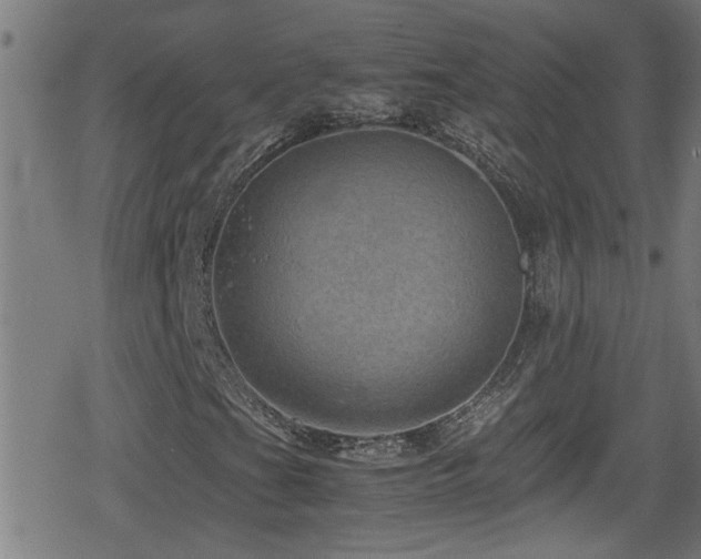 X0000078861201200611131154