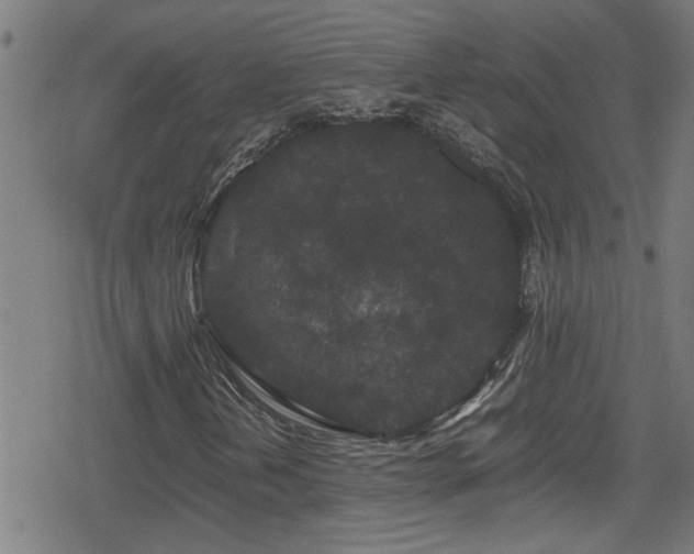 X0000078861202200611131154