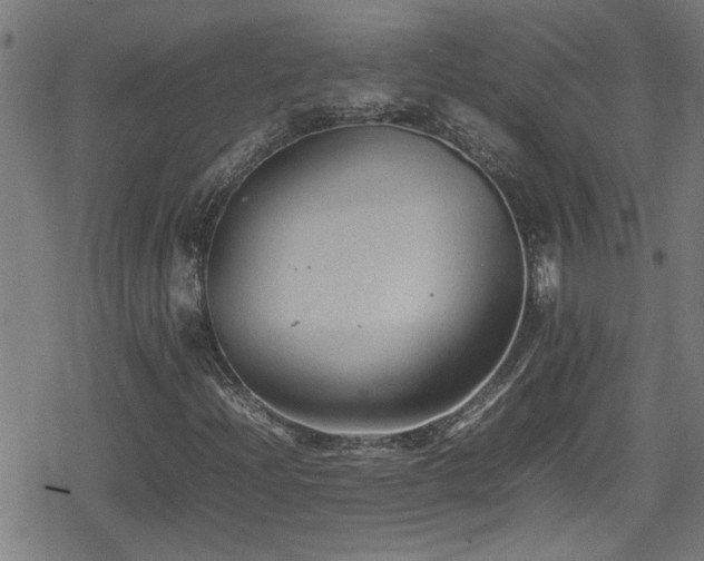 X0000078861204200611131154