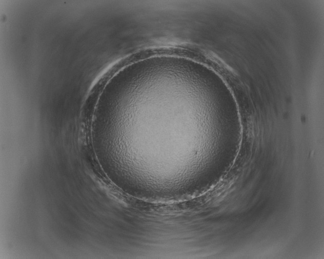 X0000078861208200611131154