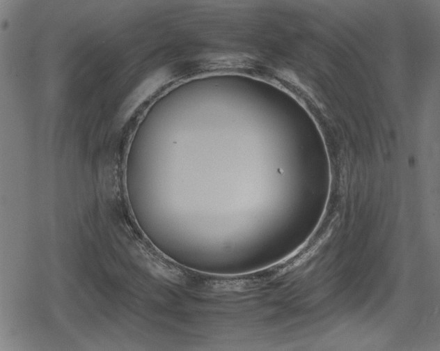 X0000078861211200611131154