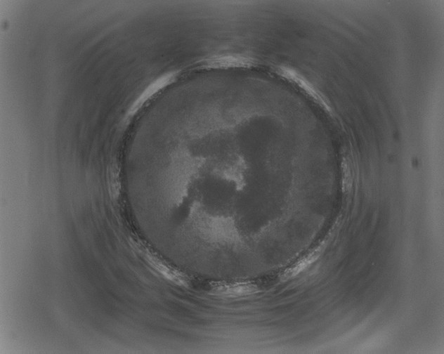 X0000078861213200611131154